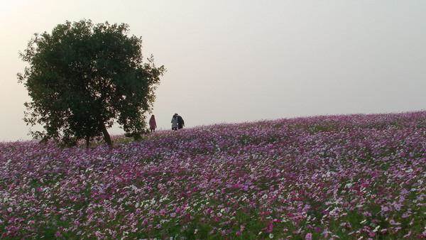 花海松山湖--深圳奥伦达部落·登山聚落活动公告