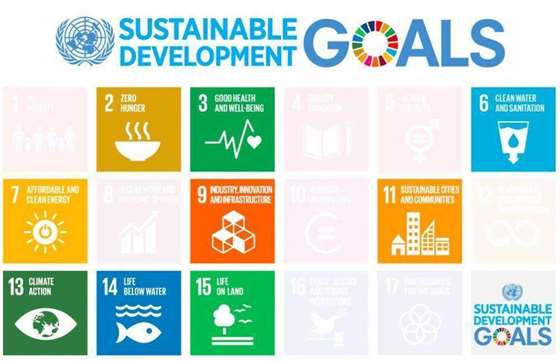 SDG goals.png