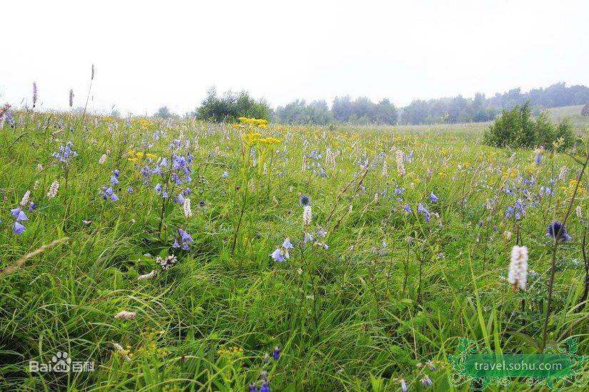 百花山国家级自然保护区地处北京西部,位于北京市门头沟区清水镇境内,2008年经国务院批准在北京百花山自然保护区基础上晋升为国家级自然保护区 。 【报名联系】诺米(微信:flyjj717) 【人数限制】10人以内 【集合时间地点】4月30日8:30,苹果园公交枢纽集合,8:45准时出发。 费用:AA 无公共费用 活动难度:中等 注意 1.
