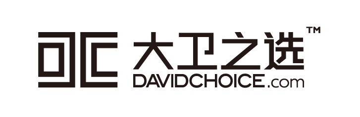 大卫logo中字.png
