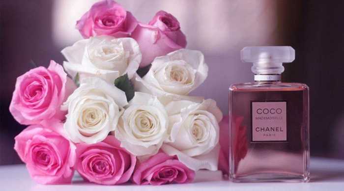 最香的香水_玫瑰玫瑰我爱你