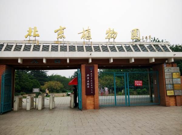 一树繁花论清明:4月2日中科院北京植物园活动