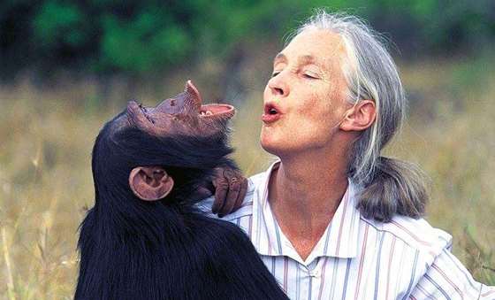 jane goodall_photos_credit_1.jpg