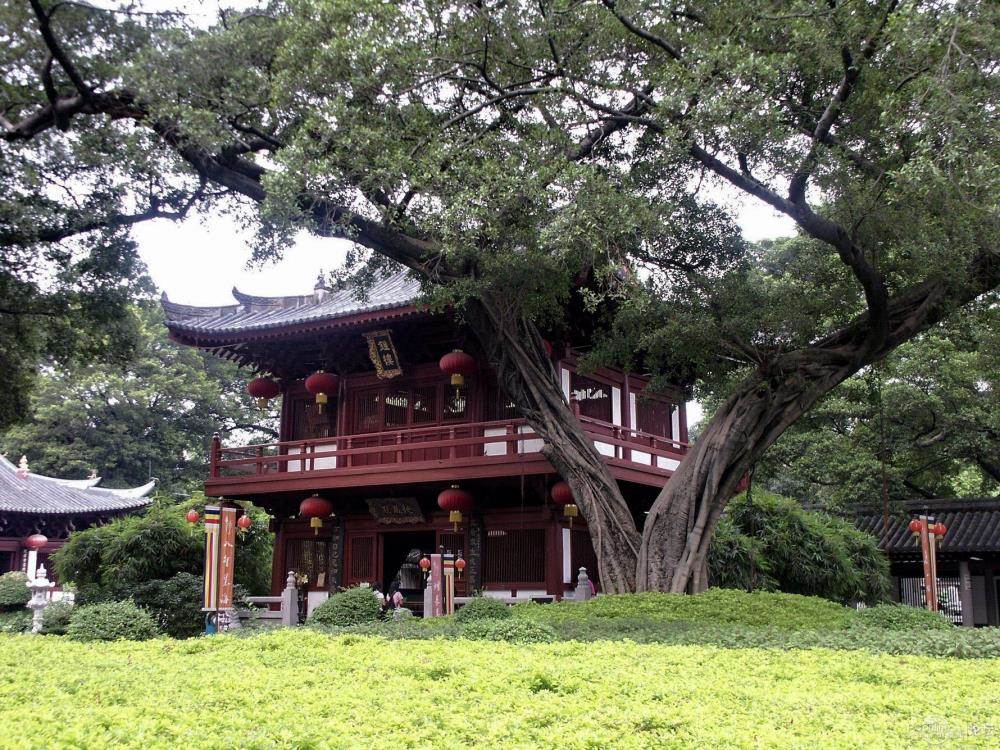 光孝寺庭院.jpg