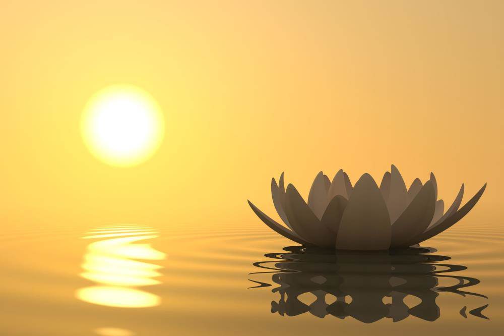 meditation-lotus.jpg