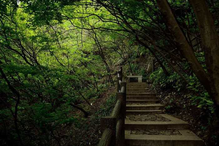 【周末】探寻藏匿在上海周边的山峰,走明代古道,泡温泉(1天)