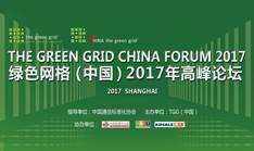 2绿色网格.jpg