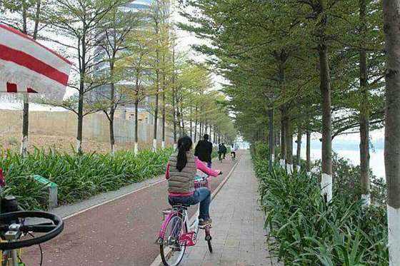 互动吧-享受周末慢时光——广州国际生物岛环岛骑行