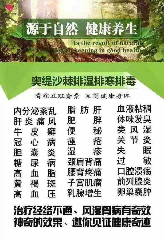 沙棘排酸的原理是什么_沙棘树是一种什么植物(2)