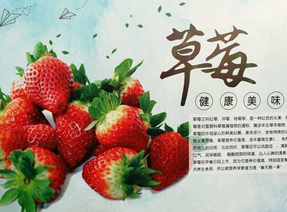草莓宣传画.jpg