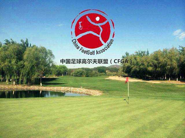 CFGA logo黑色_副本.jpg