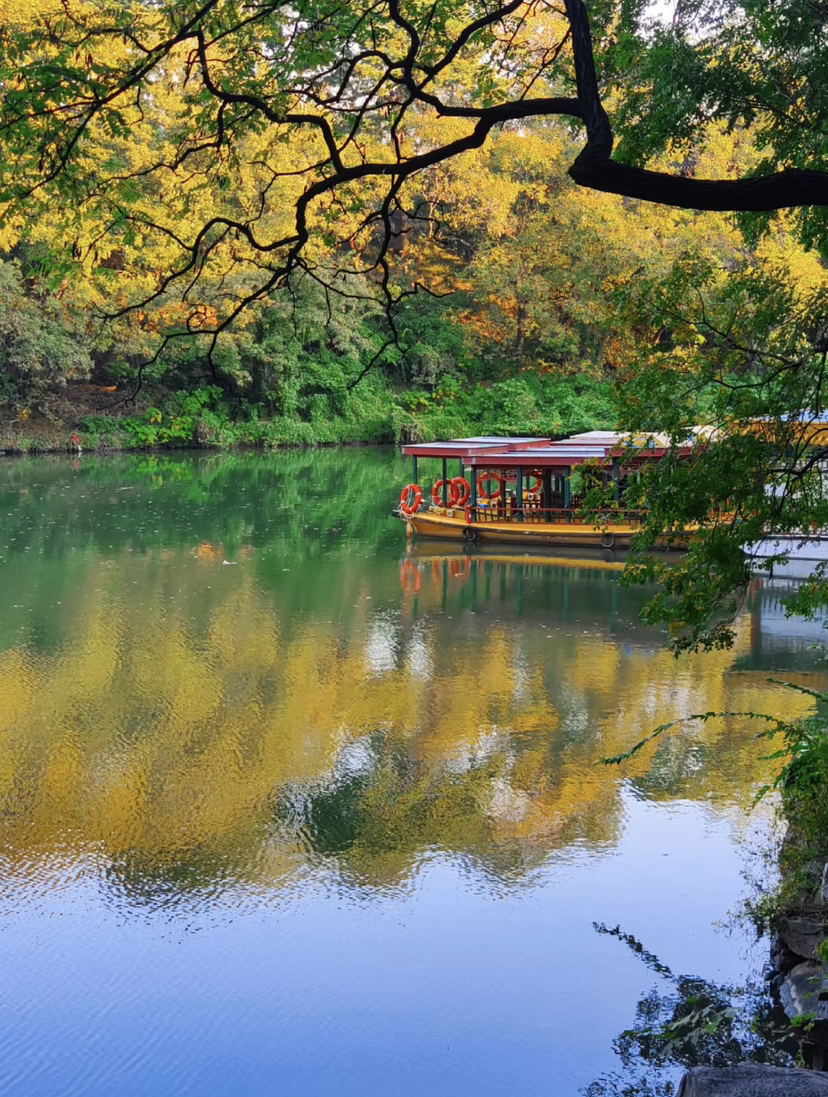 图片缺失