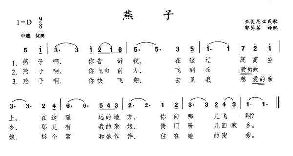 歌曲橄榄树曲谱视唱_白色橄榄树图片(4)