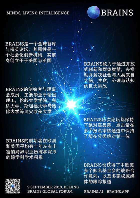 brains poster04 bj09.2018.jpg