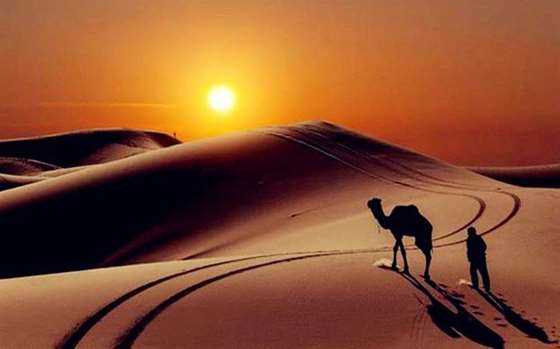 五一【库布齐沙漠】体验大漠荒凉,穿越沙漠无人区(可重装或轻装)3日