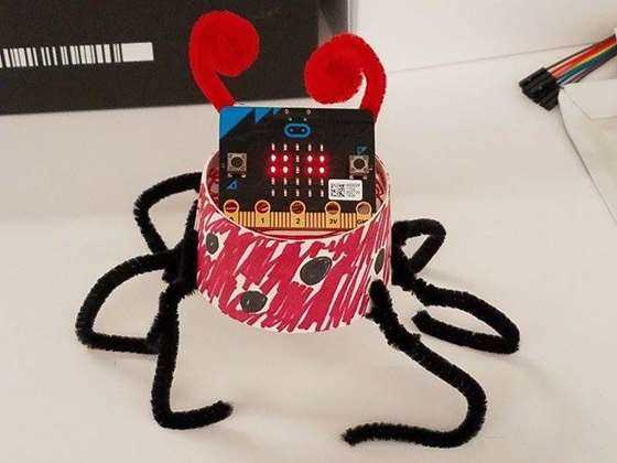 micropet-ladybug.jpg
