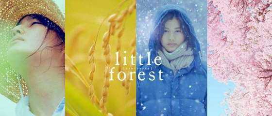 little-forest-1170x500.jpg