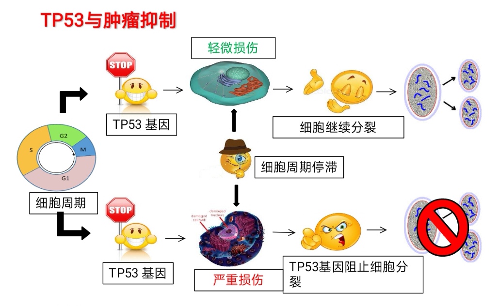 http://www.huodongxing.com/file/20190704/3793471026685/354454335763936.jpg