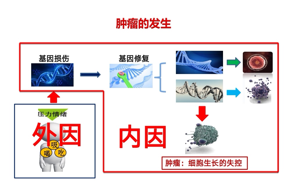 http://www.huodongxing.com/file/20190704/3793471026685/844454335083935.jpg