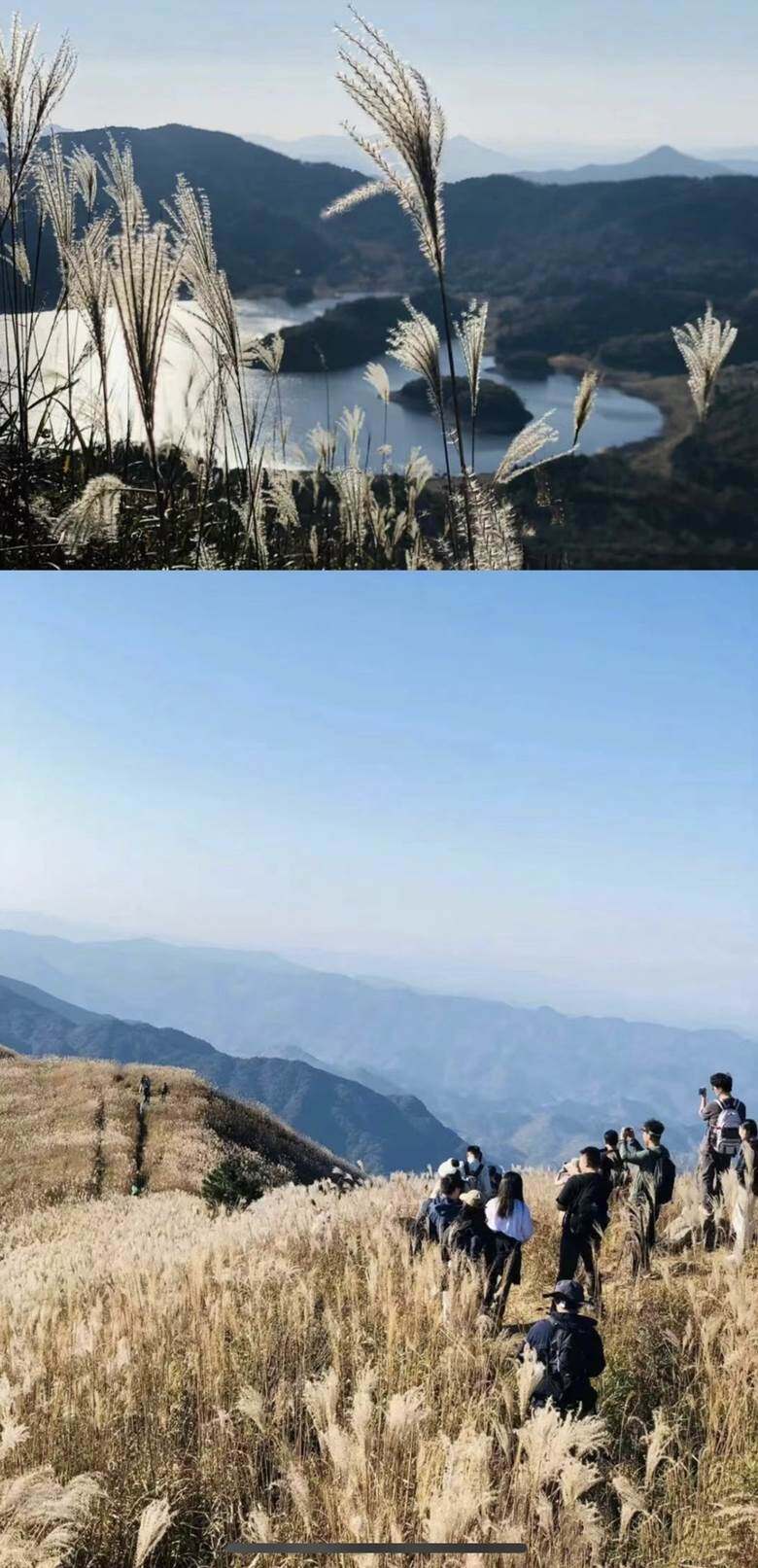 图片缺失