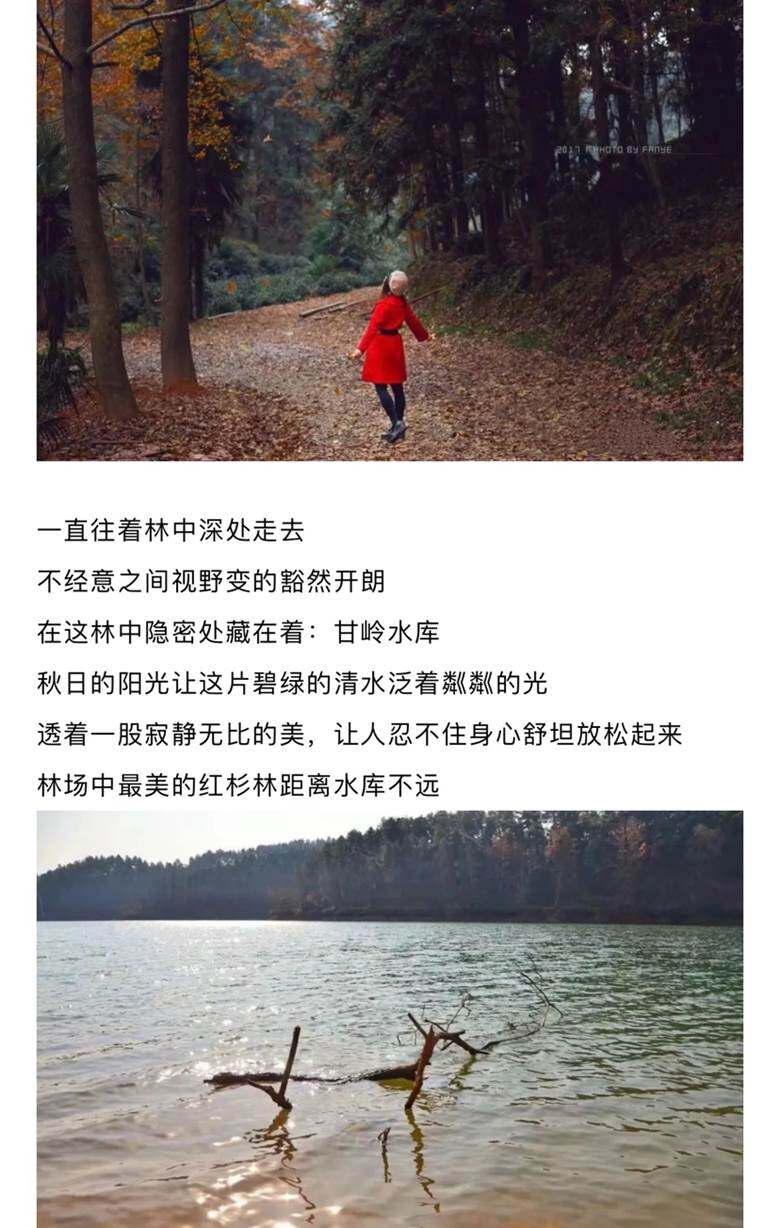 图片缺失