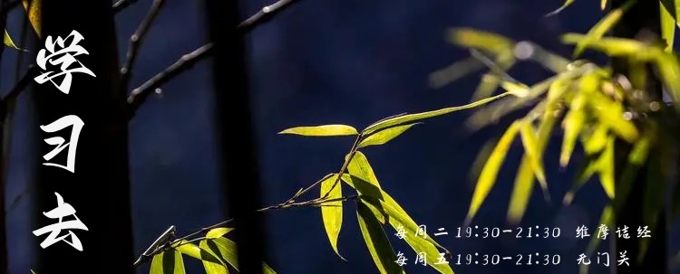 维摩诘经2.jpg