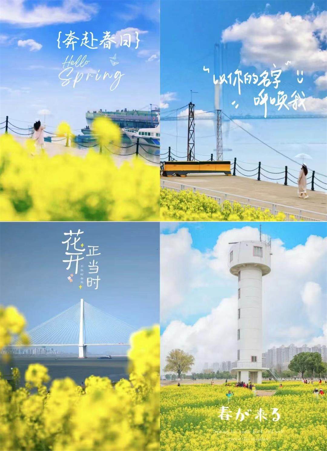 微信图片_20250509162713.jpg