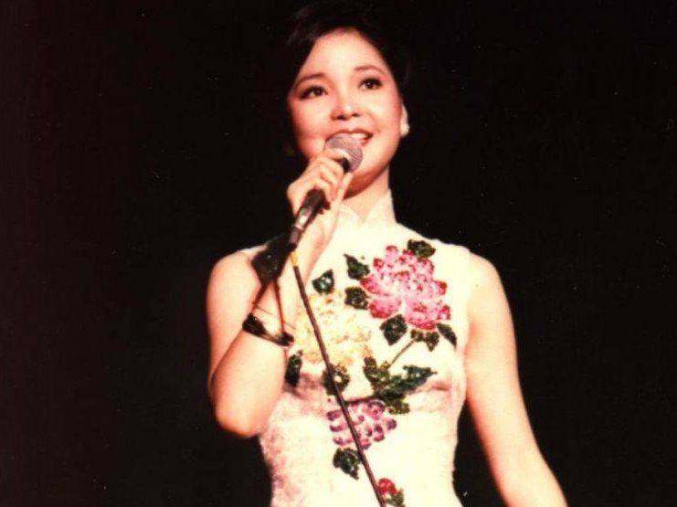 一帘幽梦 在水一方 下 半 场 但愿人长久 美酒加咖啡 绿岛小夜曲 何日