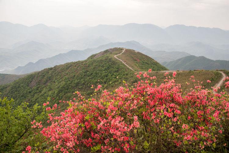 鸬鸟山1.jpg