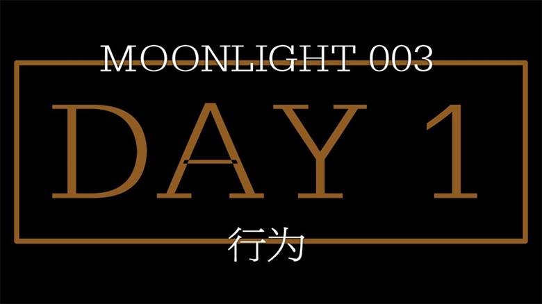 Moonlight 003.008.jpeg