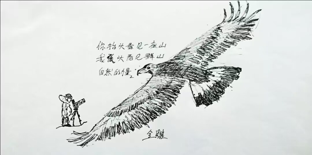 漫画1.jpg