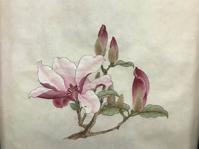 工笔画-玉兰花.jpg