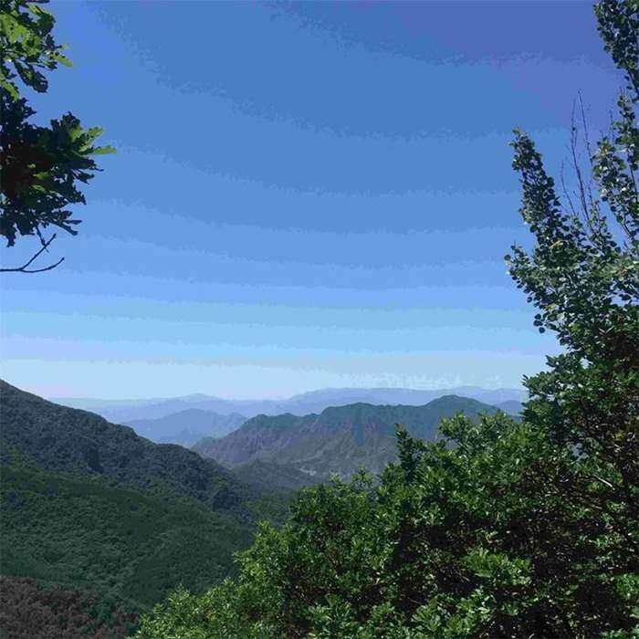 白花山-4.jpg