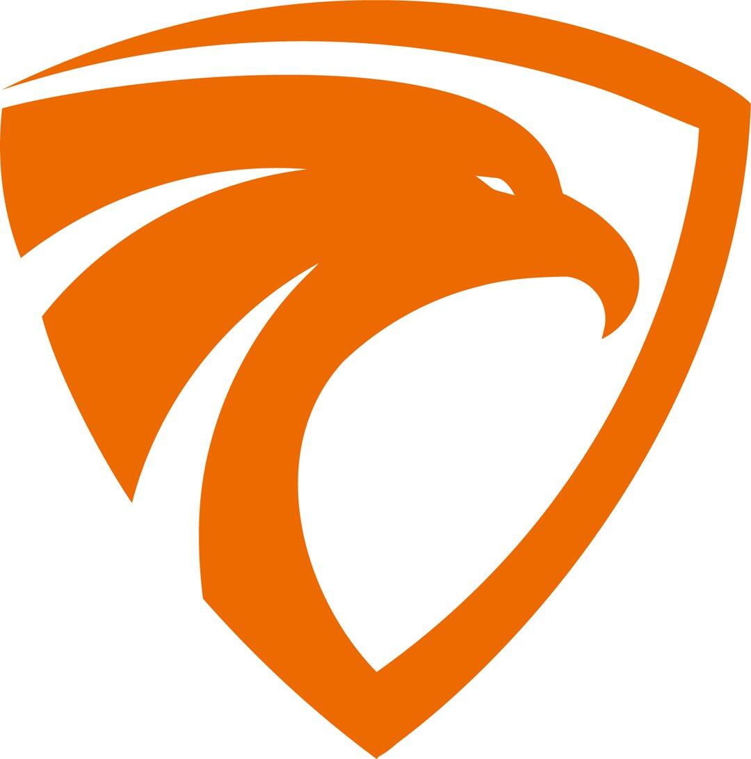 慧鹰logo-01.png