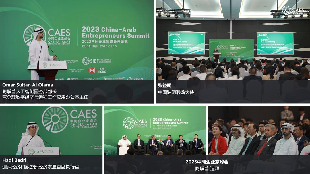 中文版 CAES-2024.UAE.0223_11.png