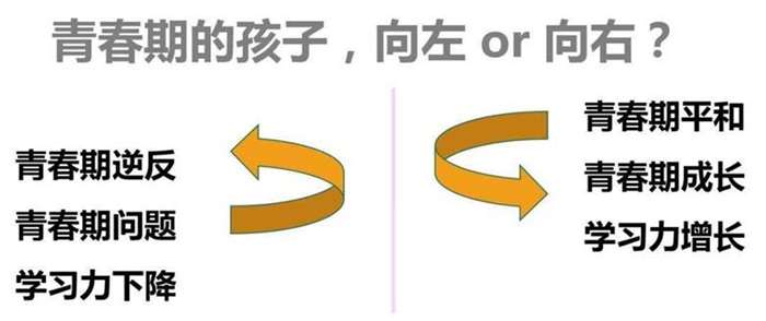 樊登读书101(253期)《解码青春期》最好的青春期教育