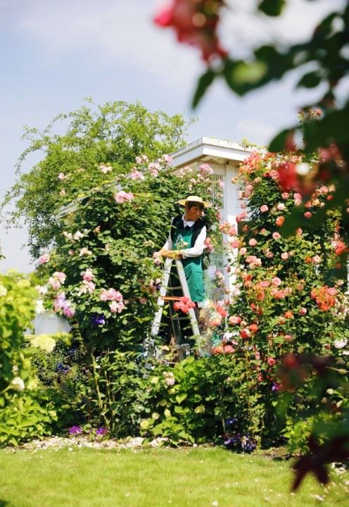 海妈《海蒂的花园》新书分享会:爱一个家,种一院花
