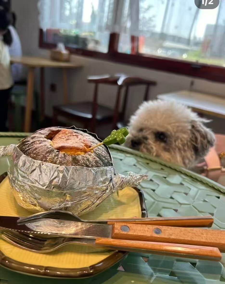西口研食社-宠物食品.jpg