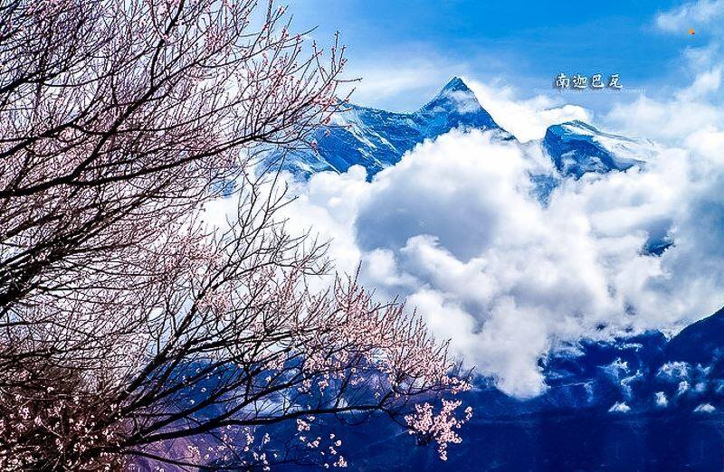 微信图片_20210224141755.jpg
