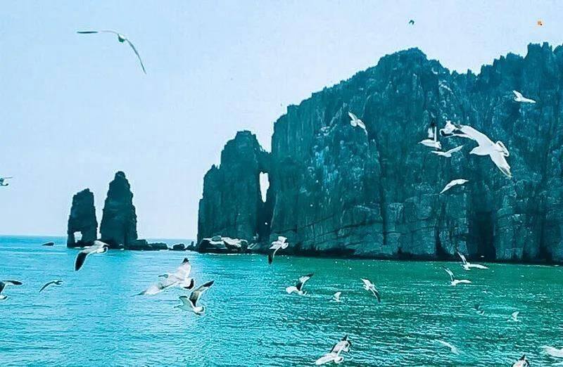 微信图片_20210414175356.jpg