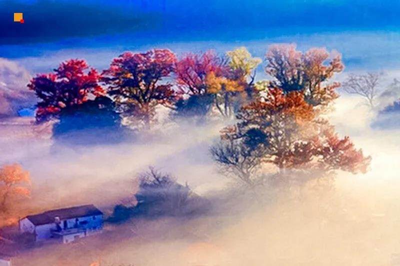 微信图片_20211012134630.jpg