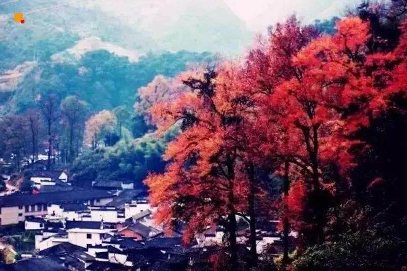 微信图片_20211012134755.jpg