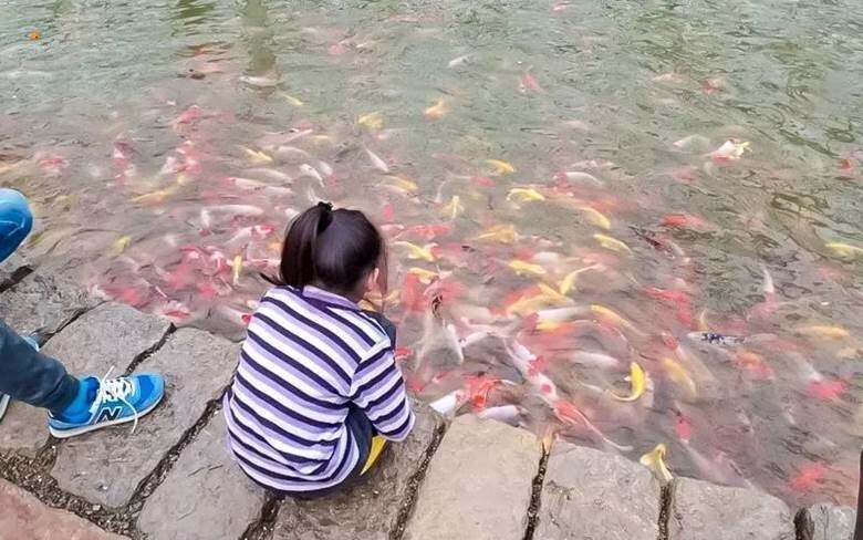 微信图片_20201130213754.jpg