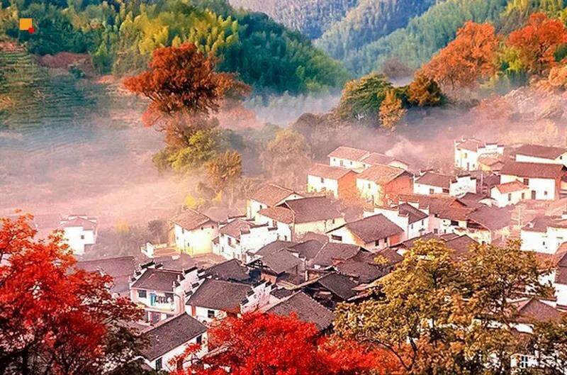 微信图片_20211012134718.jpg