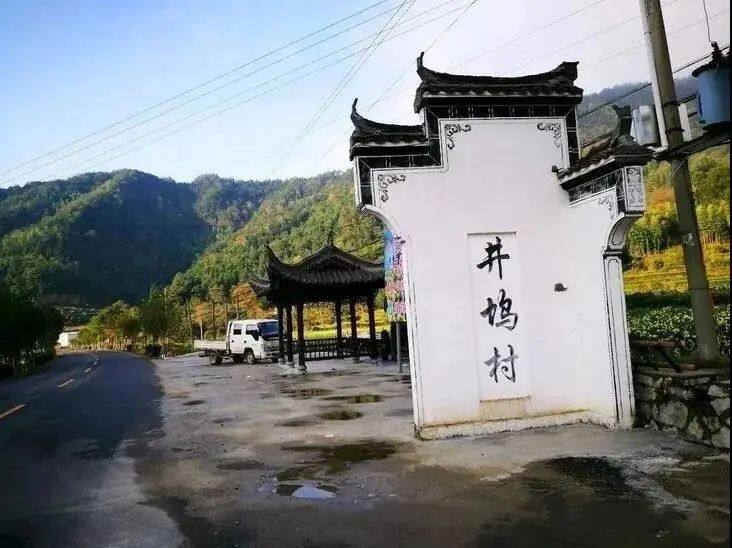 20.jpg
