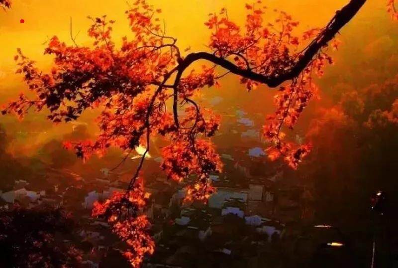 微信图片_20211012134820.jpg