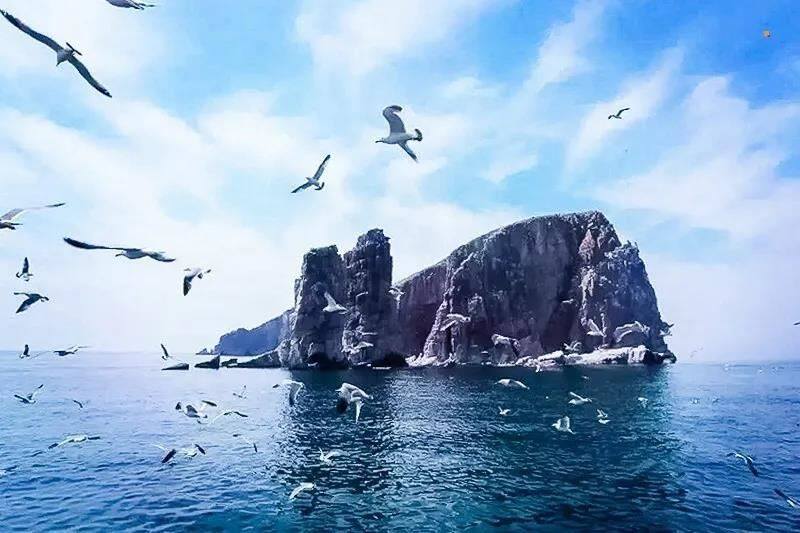 微信图片_20210414175149.jpg