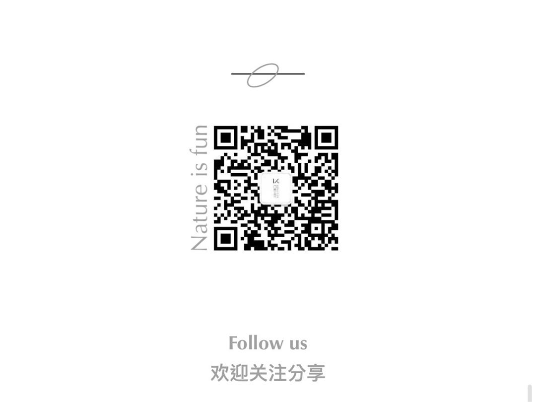 258d21c50c37d6026f133f760f5be7e.jpg