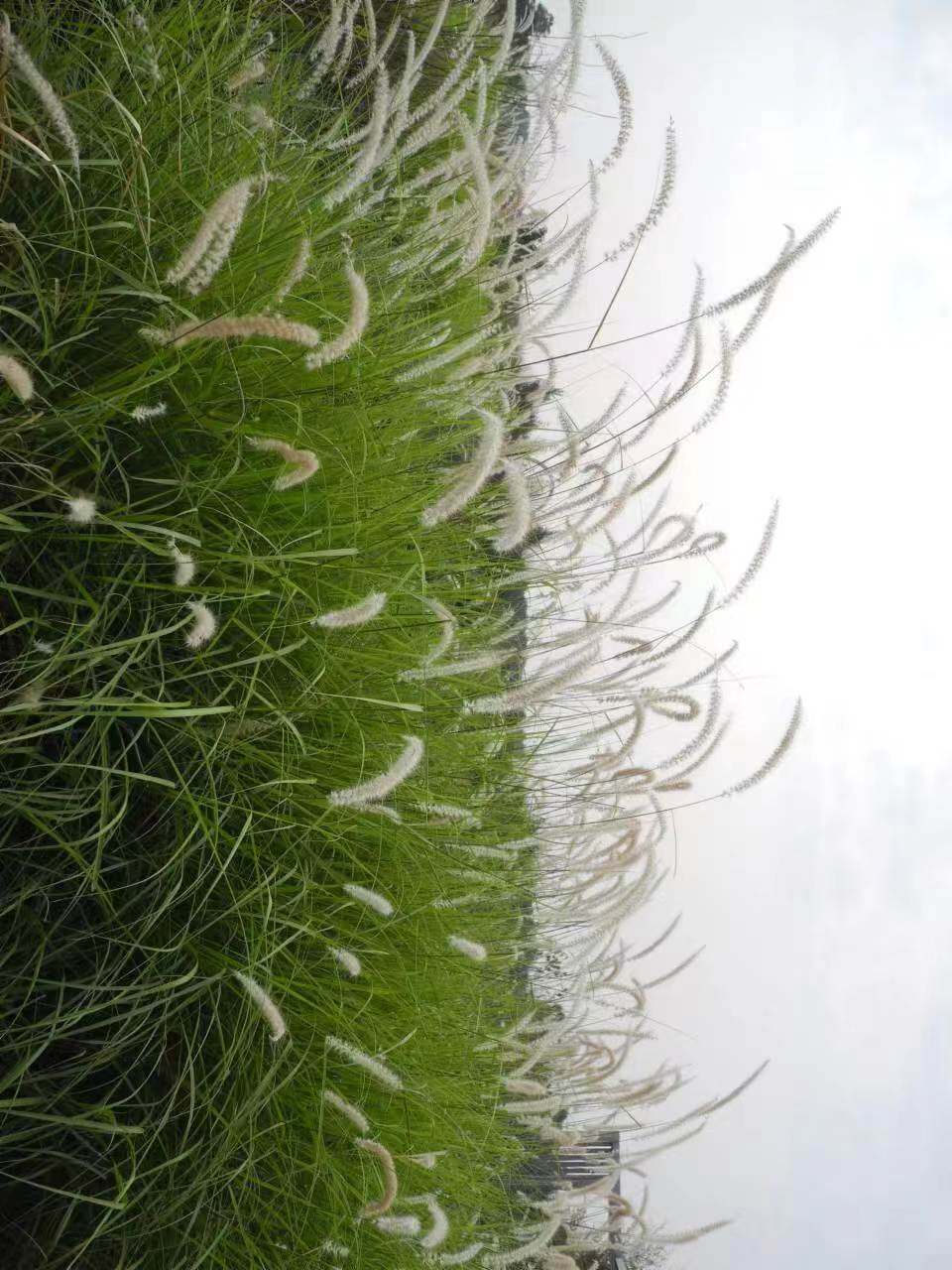 青龙湖4.jpg