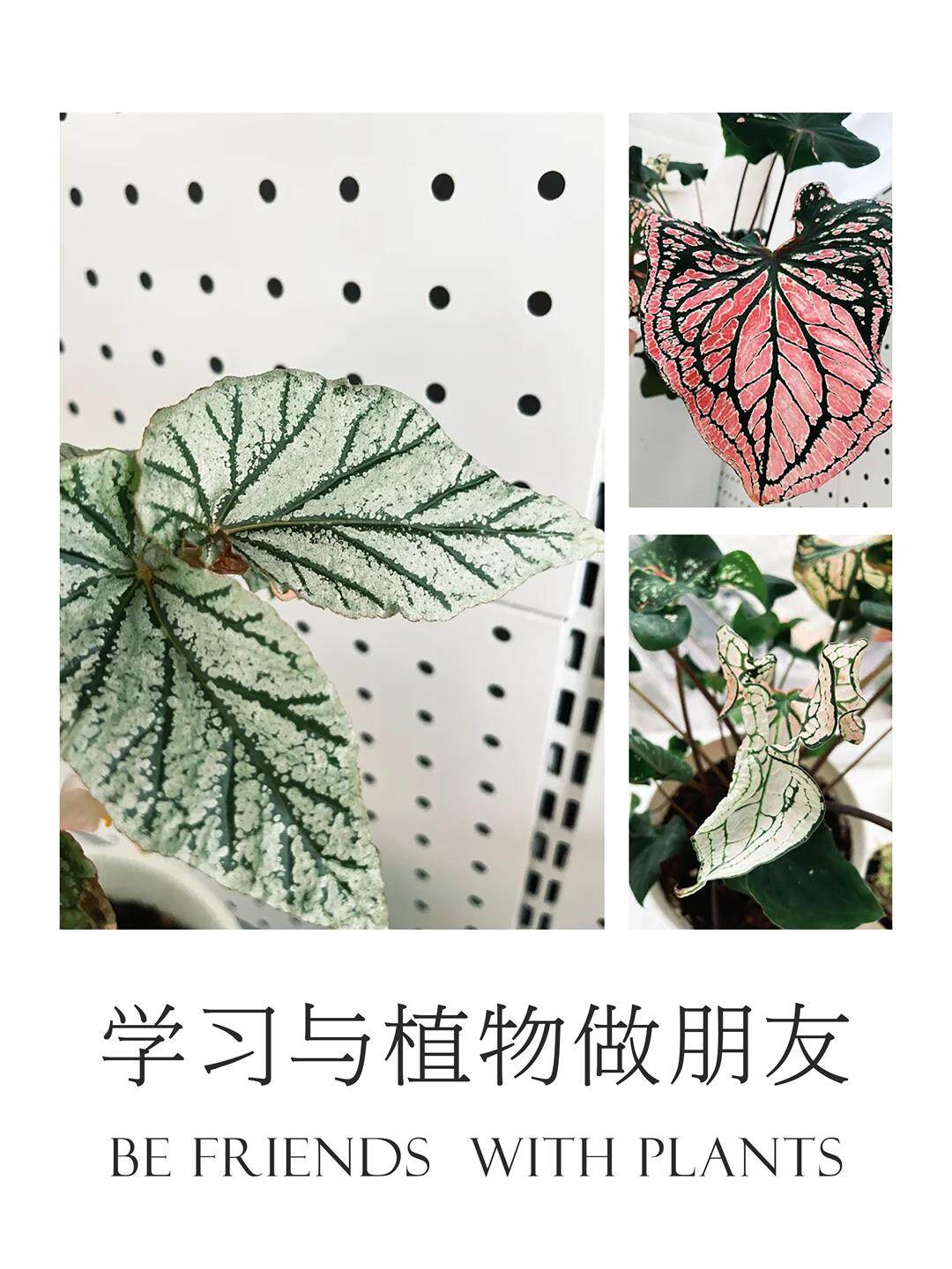 重点配图 (2).jpg